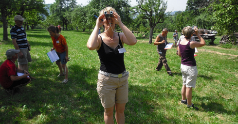 Wie viel ernte ich 2024? #streuobstwiese - Seminar "Kelterapfel-Behangdichtenschätzung": 06.07.24, 10 - 12 Uhr, 66693 Mettlach-Tünsdorf, Franz-Altmeyer-Straße 27. 
Die Schulung ist kostenlos!
Anmeldung: weiland@gartenbauvereine.de (Verband der Gartenbauvereine SL/RLP e. V.)