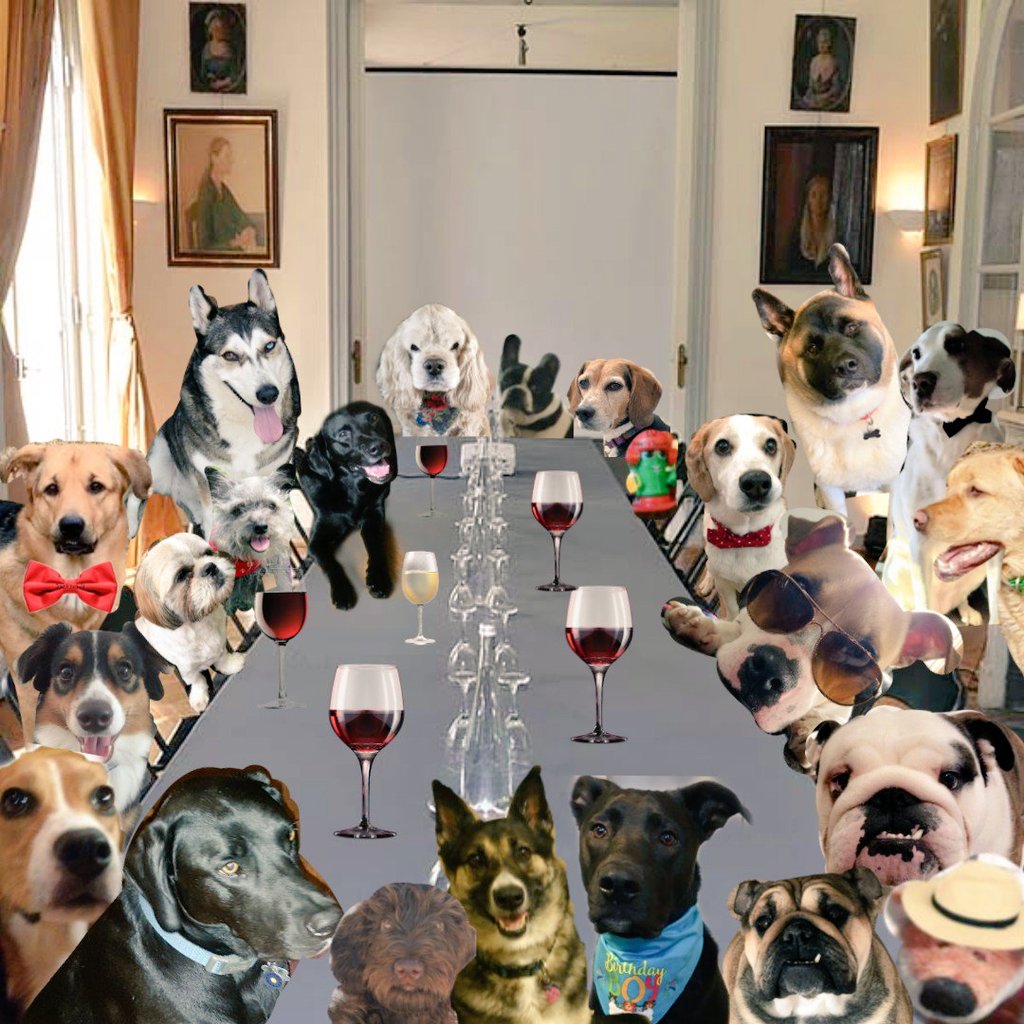 CanadianPenny1's tweet image. I've been trying to think of what to say... because thank you doesn't seem like enough. I'm just a rescue from Canada that you brought along for an incredible ride. You are all amazing #TJ5 ♥️