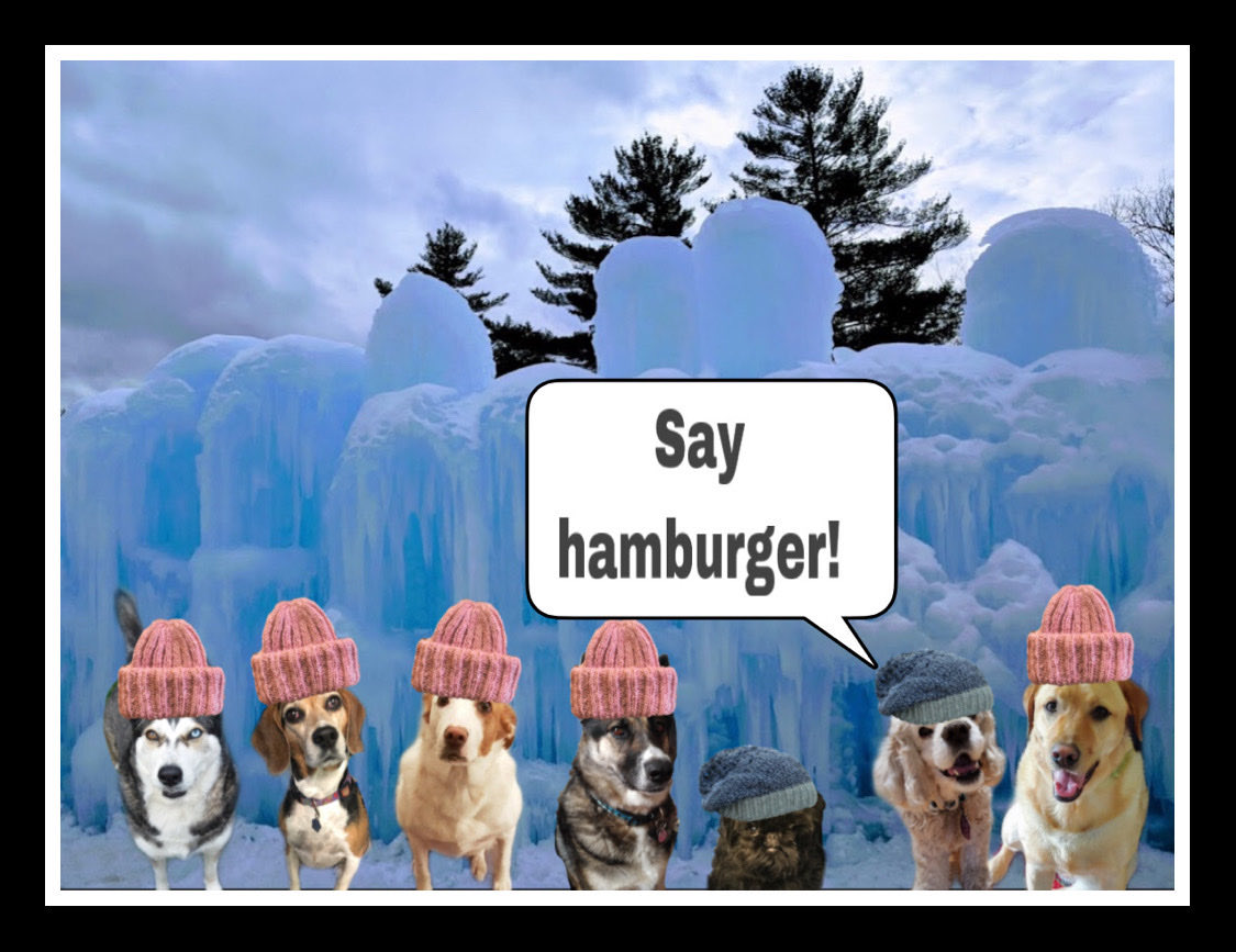 CanadianPenny1's tweet image. I've been trying to think of what to say... because thank you doesn't seem like enough. I'm just a rescue from Canada that you brought along for an incredible ride. You are all amazing #TJ5 ♥️