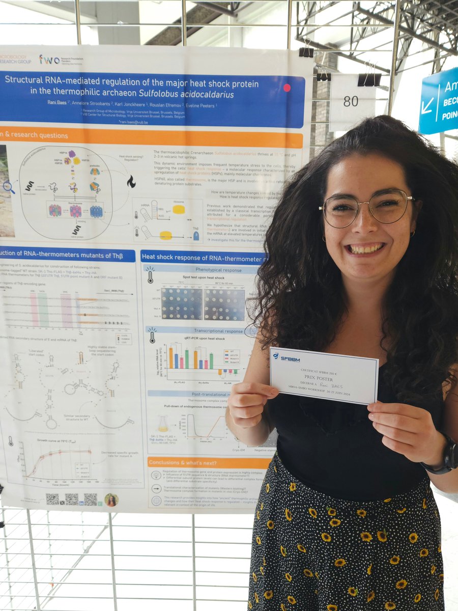 Rani Baes (@rani_baes) on Twitter photo Really excited to share that I received the award of Best Poster for my work on Sulfolobus stress response at the #embo workshop Molecular Biology of #Archaea, last week at <a href="/Polytechnique/">École polytechnique</a> 🔥. Grateful for this great conclusion to an excellent conference!
<a href="/MicrVub/">MICR Research Group - VUB</a> <a href="/VUBrussel/">VUB</a> Really excited to share that I received the award of Best Poster for my work on Sulfolobus stress response at the #embo workshop Molecular Biology of #Archaea, last week at <a href="/Polytechnique/">École polytechnique</a> 🔥. Grateful for this great conclusion to an excellent conference!
<a href="/MicrVub/">MICR Research Group - VUB</a> <a href="/VUBrussel/">VUB</a>