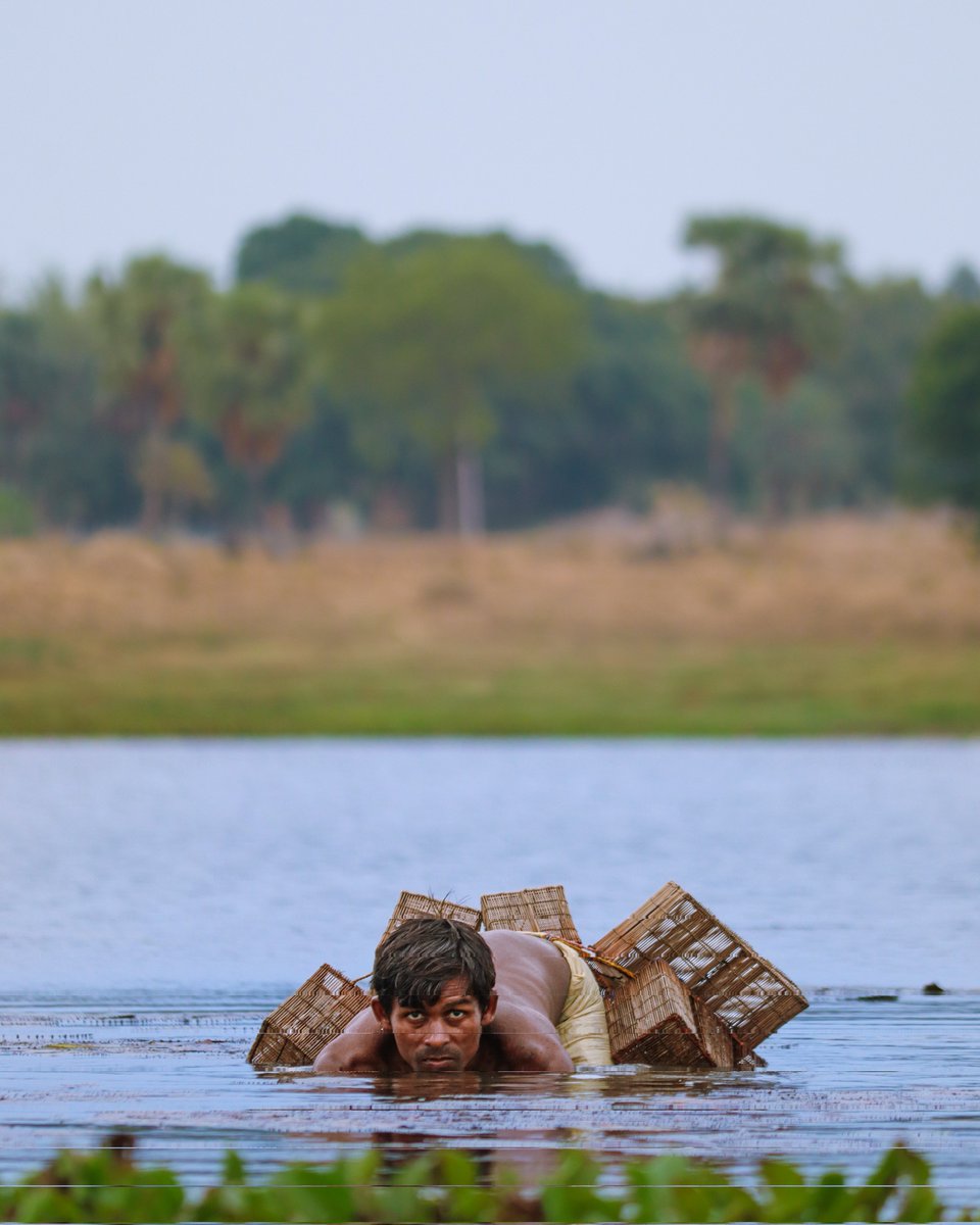 jeetsnaps's tweet photo. Fish Trapping in bamboo cage...
#Rural #photography #Fishtrapping #ShotOnCanon #Natgeo #NaturePhotography #explore https://t.co/oSoUpUZVSM