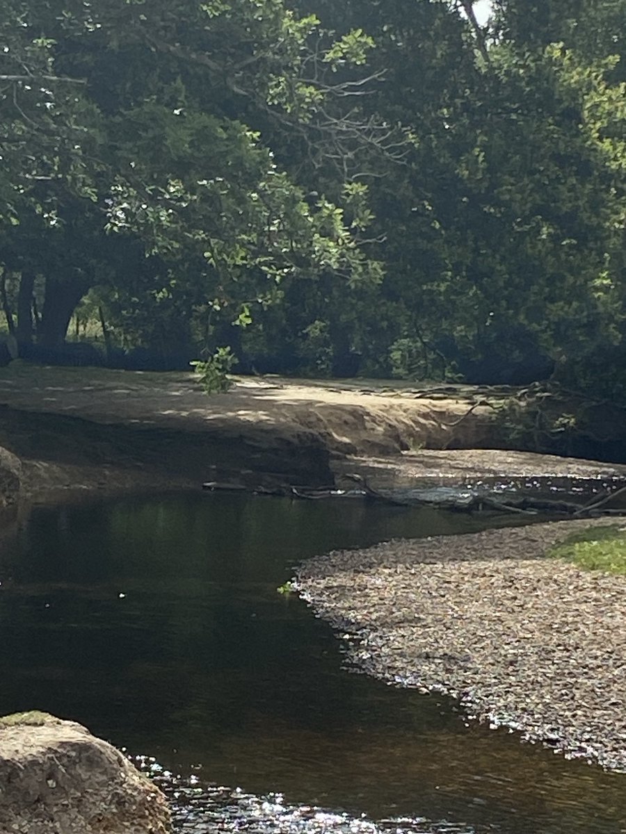 Rod_trips's tweet image. Waiting at the final checkpoint for silver D of E