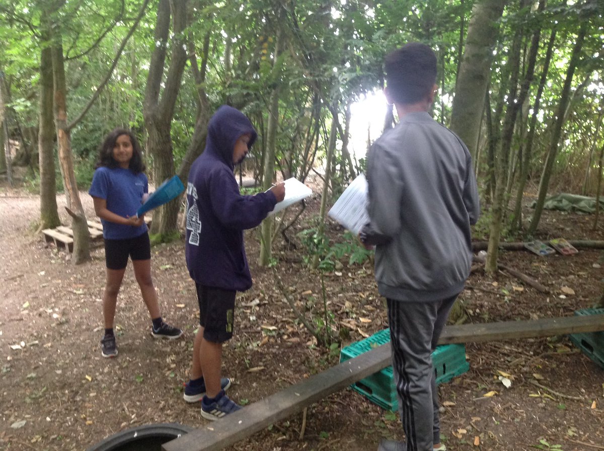 Elm Class GBS Yr6 tweet media