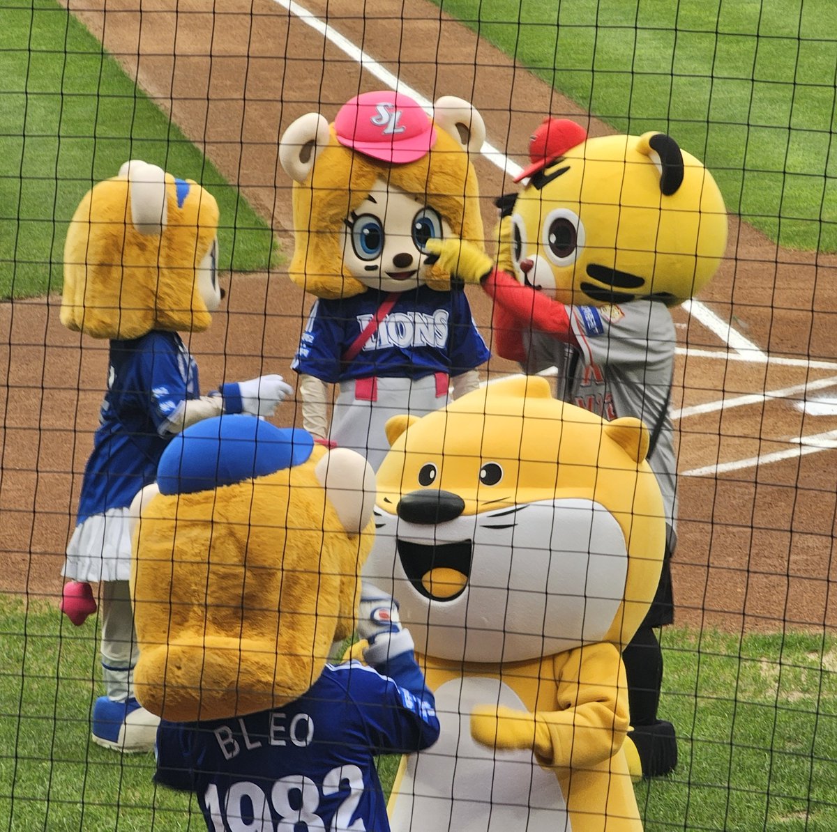 동물들 짱 많네