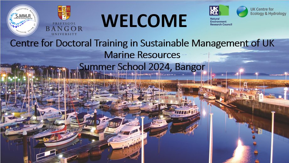 CDT SuMMeR tweet media