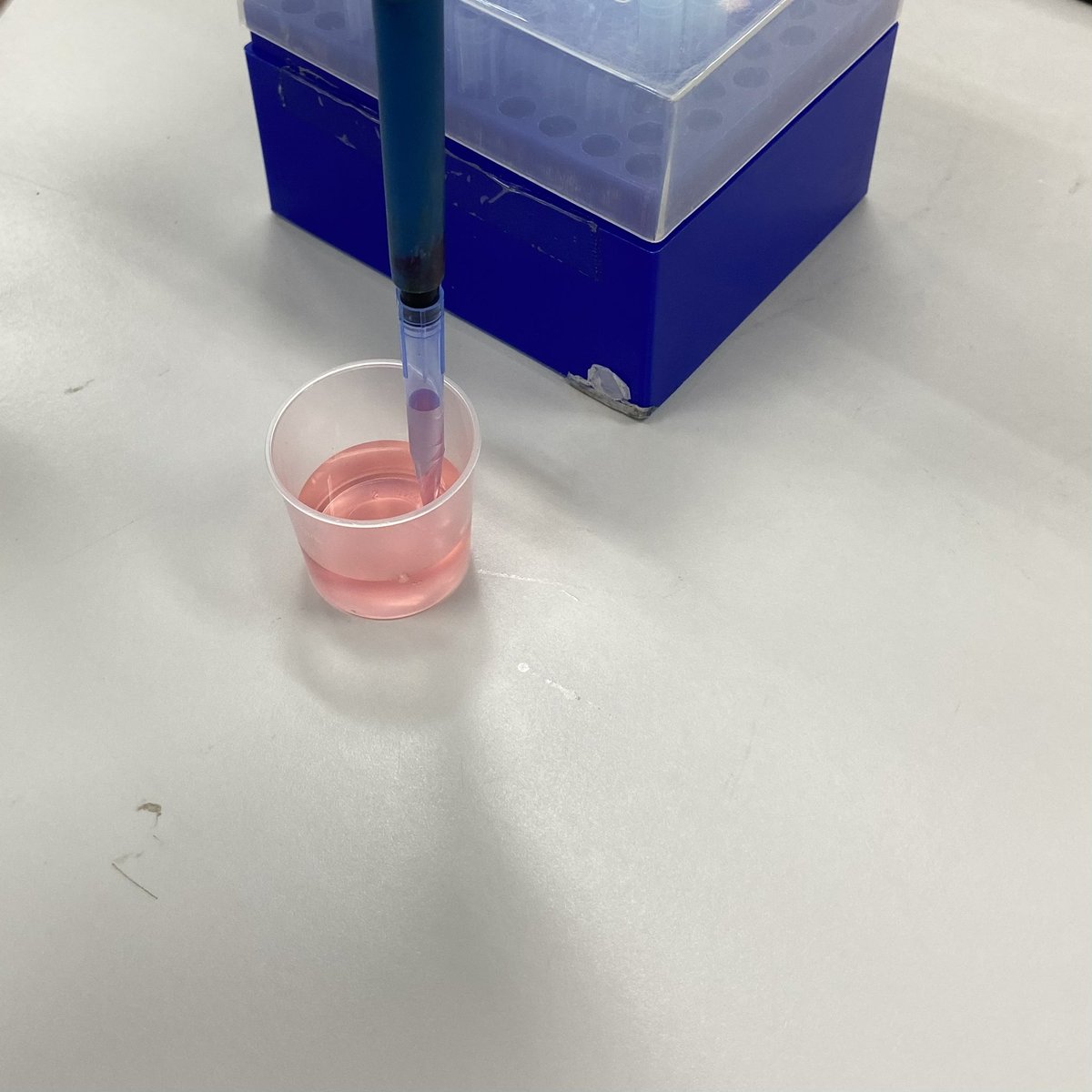 𝒖𝒏𝒊-👩🏻‍🔬
  Lab Pipette🧪 ฟรินมากๆๆๆ วันนี้มีเรียนตั้งแต่ 9โมงถึงเที่ยง ถึงมันจะเช้าและยาวนานแต่สนุกมากอ่ะ ตอนใช้เครื่องมือเหมือนฝึกขับมอไซต์ใหม่ๆเลย เกร็งข้อมือมาก 🥲แต่อ.สอนดีเว่อร์ สอนละเอียดยิบ ก่อนออกห้องมีคำคมจากอ.ฝากไว้ว่า ตอนสอบ ถ้าทำผิด หักหมดไม่สนใครนะ❗️
#uniw_sodsziii