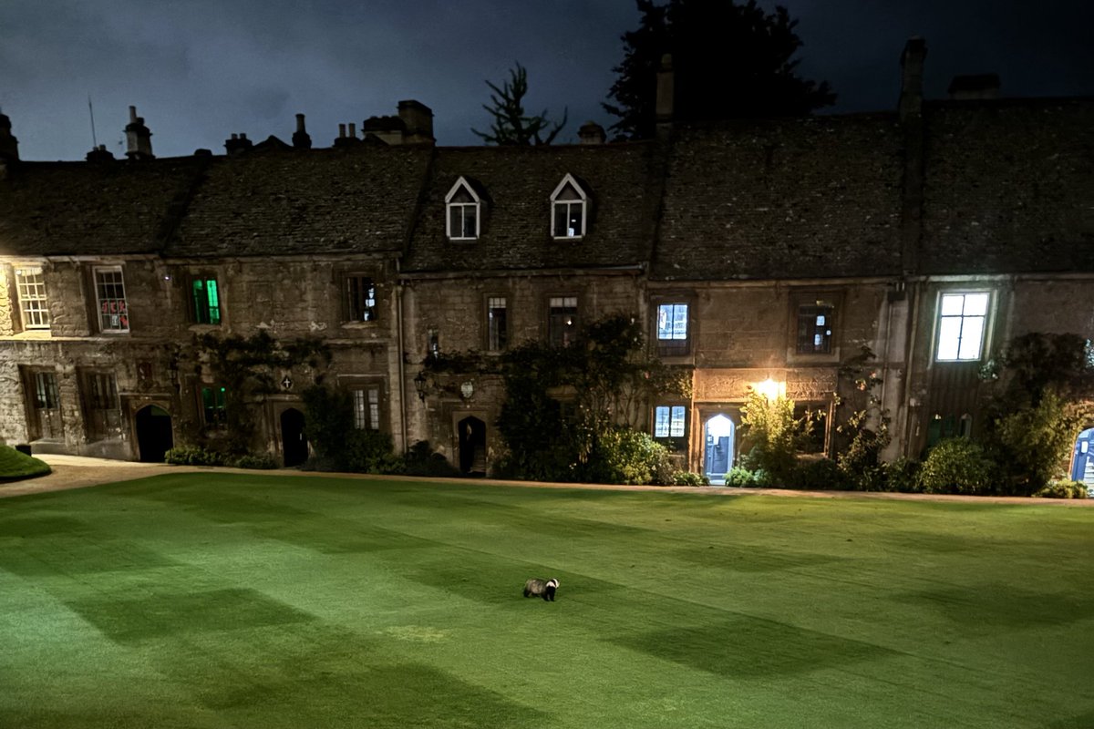 WorcCollegeOx's tweet photo. Apparently nobody told the badger that the lawn isn't for walking on https://t.co/tLvshGh4YM
