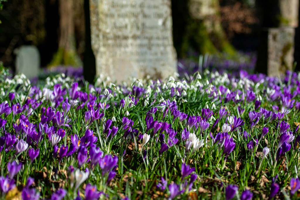 balazanuriah's tweet image. Grief is held in your body and seeks expression…if you try to push it under the surface it will leak out in other ways.

Read more 👉 lttr.ai/AUTrg

@coswaycbt @the_hungry_mind

#Grief #SeekingSupport #RecoveryProcess #MentalHealth #CBT