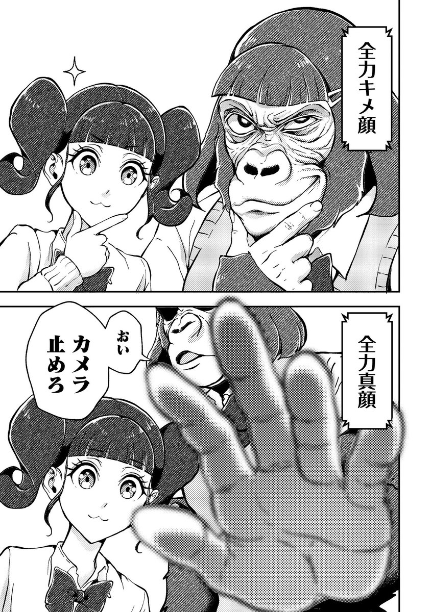 (2/4) 