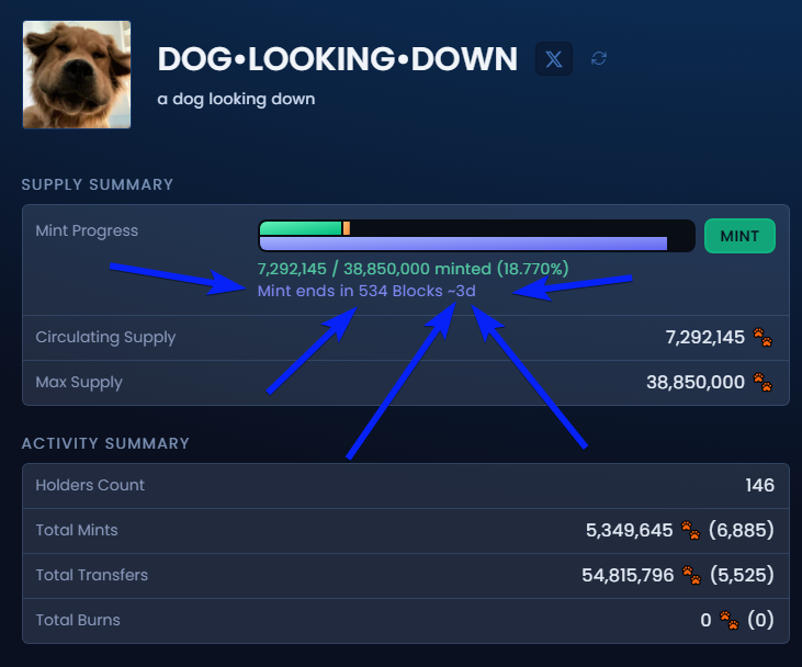 Doglookingdown's tweet photo. a dog mint ending soon https://t.co/dcNsDiKWum