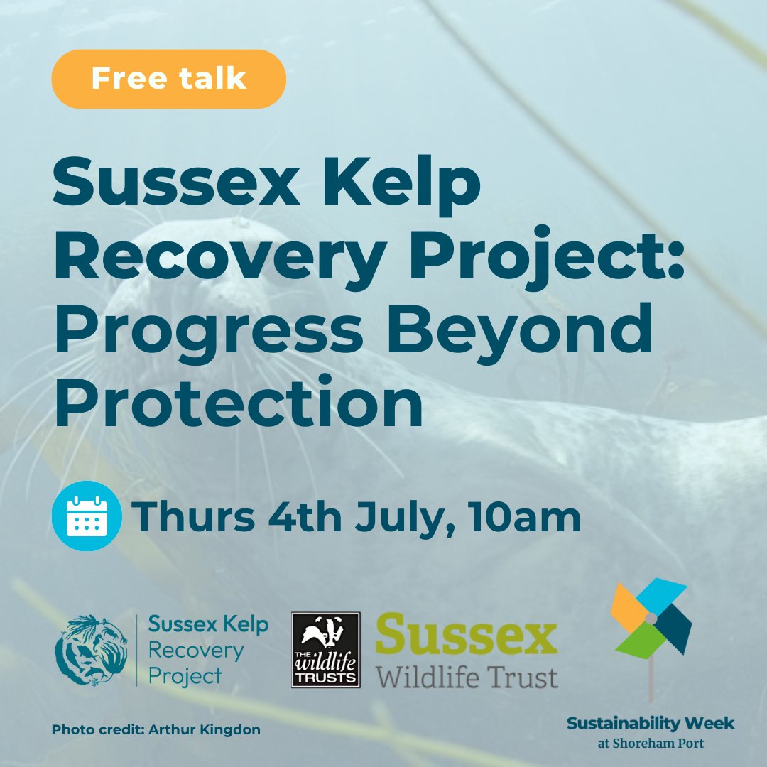SussexKelp's tweet photo. We're delighted to be giving a talk @shoreham_port's #SWSP24 event - showing fantastic footage from beneath the waves, and diving into the research, projects and people supporting the recovery of marine life in Sussex! #SussexKelp #OurSeaForest
https://t.co/m8Pbplx8fd https://t.co/JhtCEL8zye