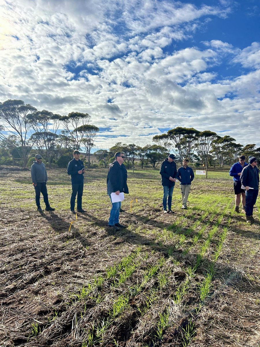 Cleve Rural Pre-Em herbicide walk. Great info following a late start to the season. Thanks to all involved. 🤘🏽🤘🏽