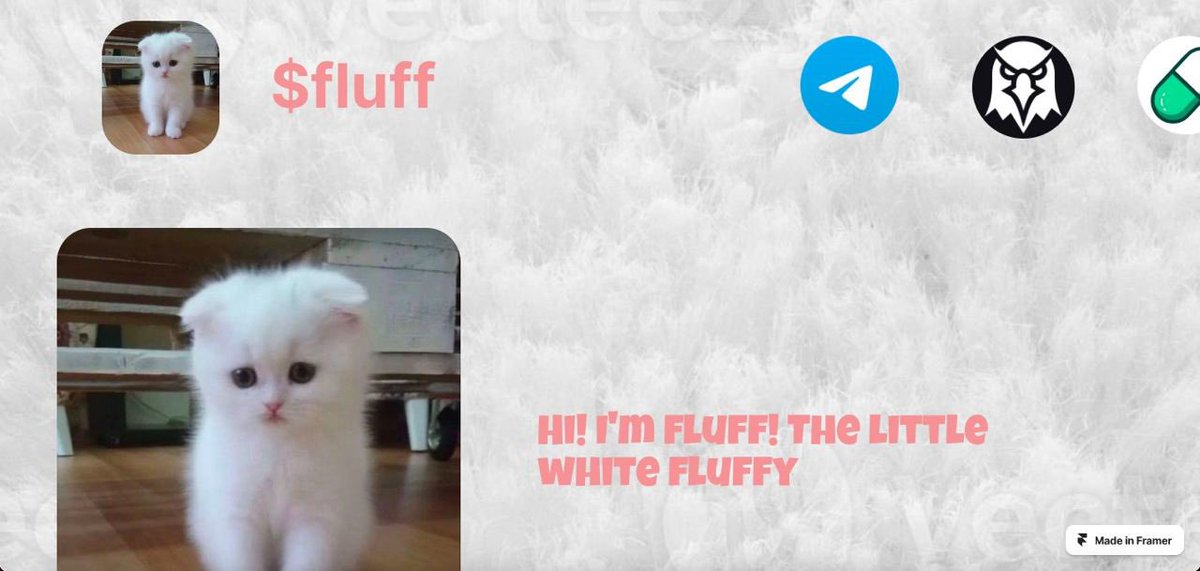 FLUFFCTO's tweet photo. "Website updates are live! 

It's $FLUFFY season - here we come Raydium...” https://t.co/rZCgiqNZzM