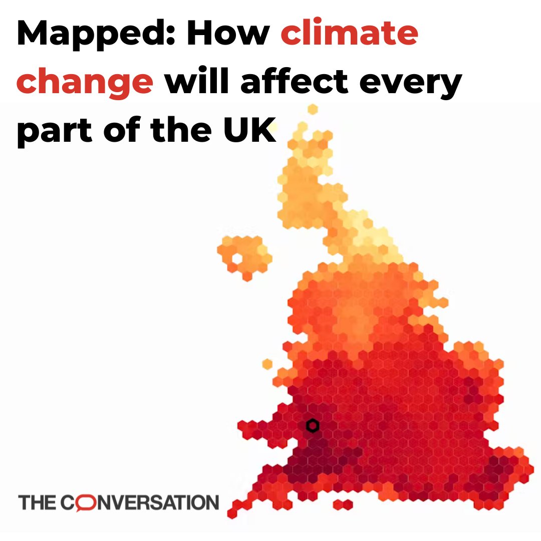 The Conversation tweet media