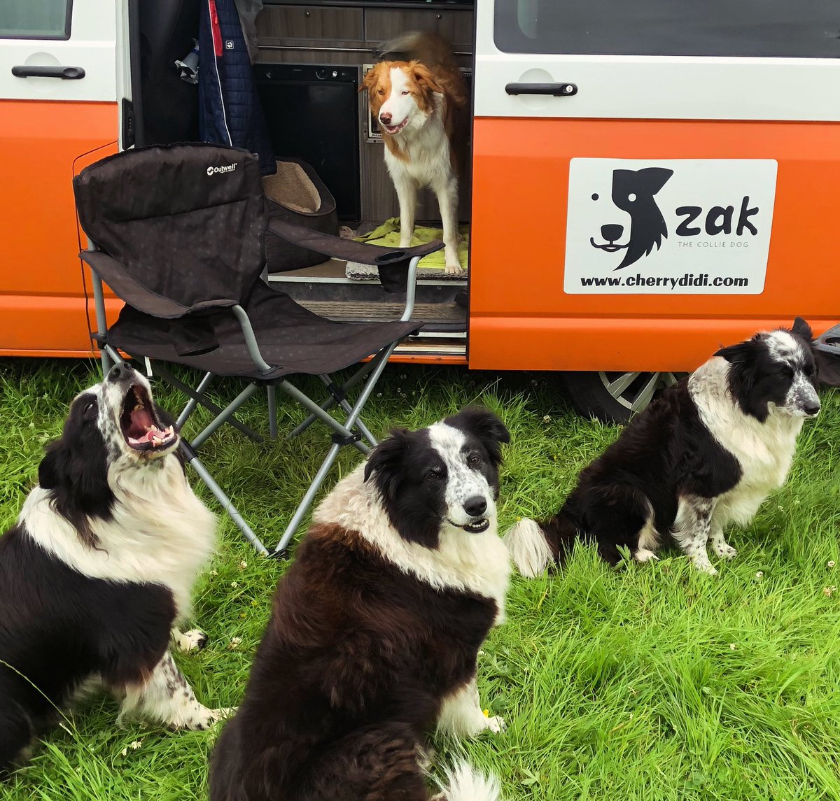 zakthecolliedog's tweet photo. Look who #RescueRu is hanging out with?

#harmerfamilyadventure #jackthelad #jessedog #sistertas #zakthecolliedog #vanlife #camping #schoolholidays #lakedistrict #collieheaven https://t.co/f2GDvMOb1A