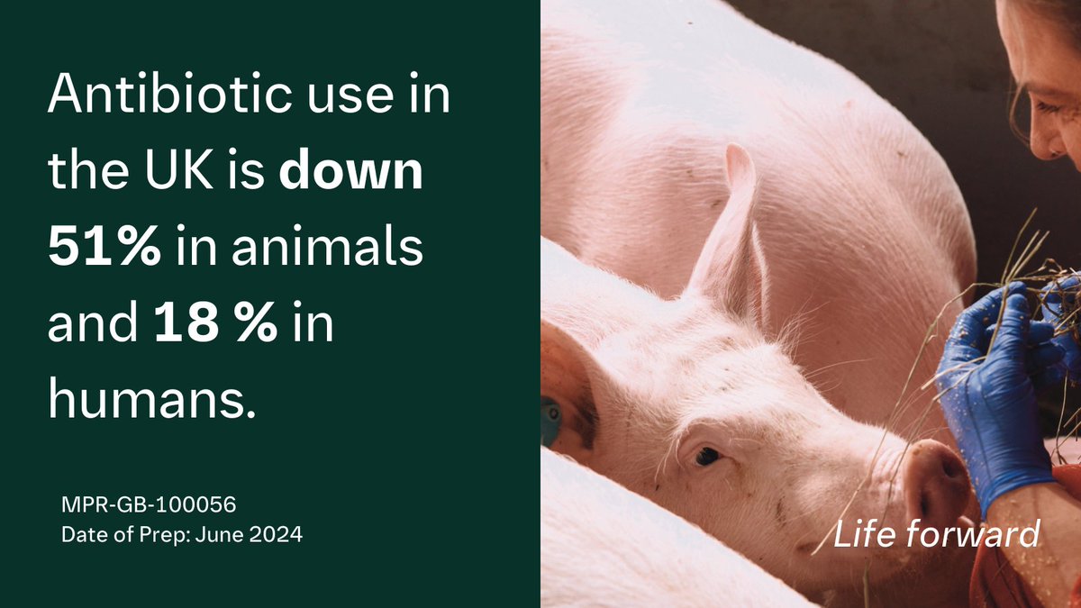 Boehringer Ingelheim UK & Ireland tweet media