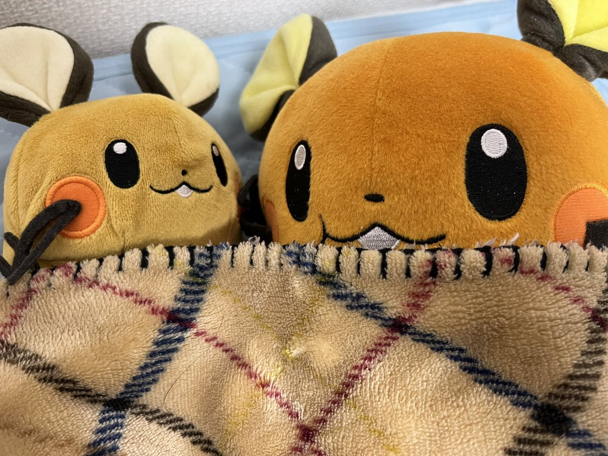 yustpoke's tweet photo. デデンネ、いつもありがとう。貴方は最高です。
 #7月02日はデデンネの日　#デデンネの日 https://t.co/UGvjEug3vd