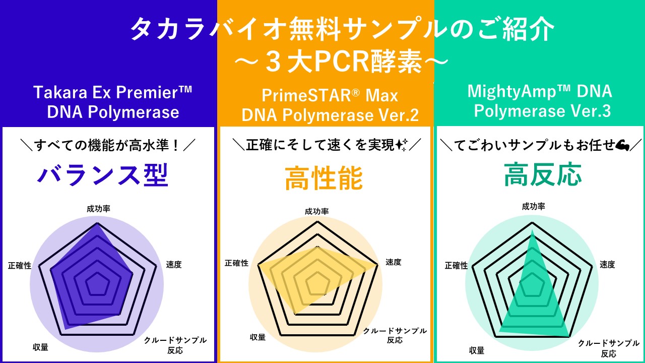 強化Xドリーム 1ml CBN CBP CRDP CRDH THXE125 強化Xドリーム 1ml CBN CBP CRDP CRDH THXE125（TSPL-30-ID