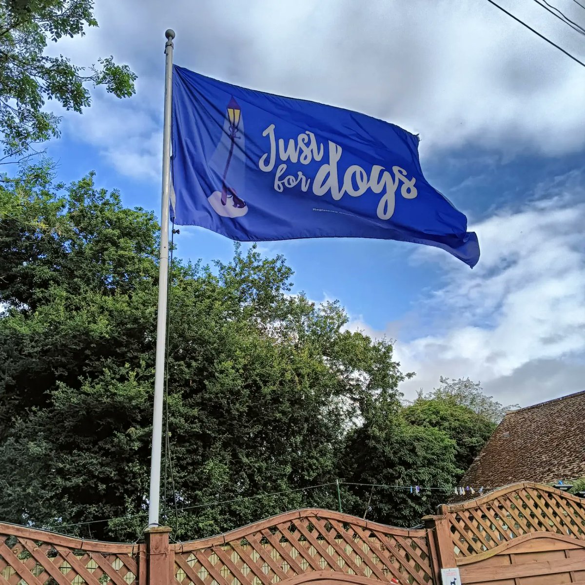 Richard Pettinger tweet media