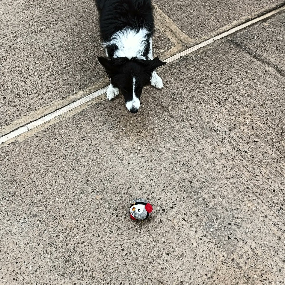 Richard Pettinger tweet media