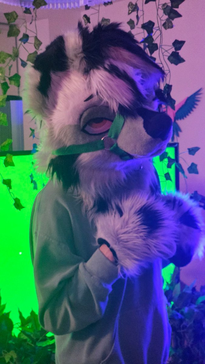 Woof woof!