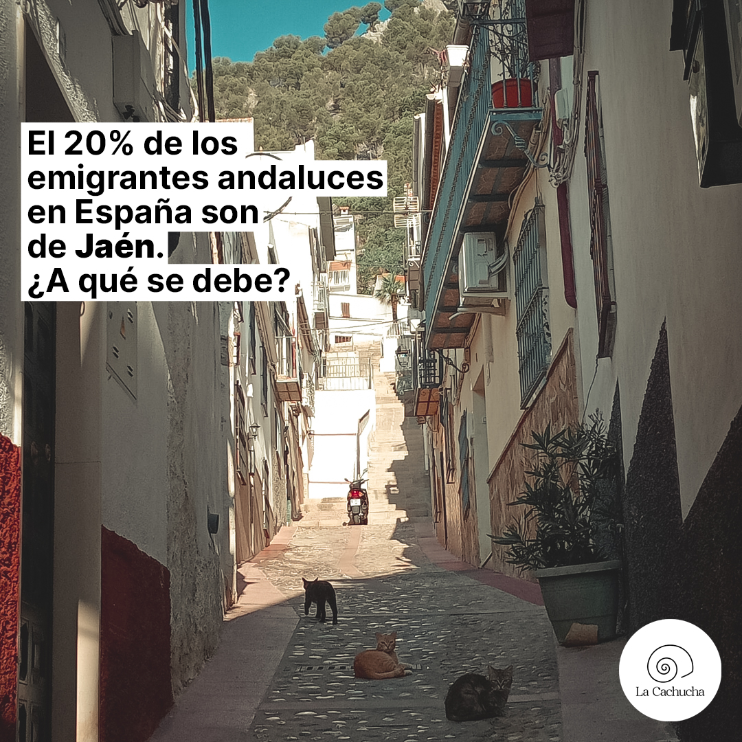 🚨 ¡El 20% de los emigrantes andaluces en España son de Jaén!

📝 Queremos saber tu opinión 👇🏽