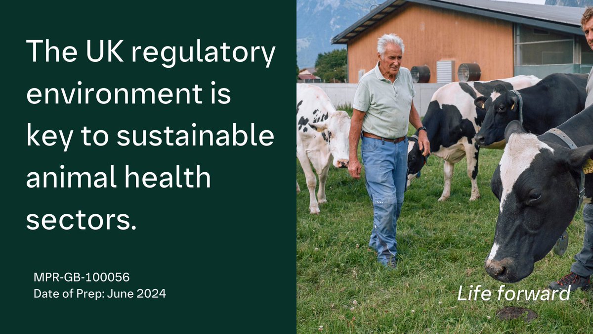 Boehringer_UKI's tweet photo. Bringing Better Health to Animals: Implementation of The Veterinary Medicines Regulations 2024 should maintain optimal animal health and welfare.  Find out more about Boehringer Ingelheim UK and Ireland’s policy asks in Our Manifesto.  #News

https://t.co/WUlyMqyvFK https://t.co/lQDQJkCsmL