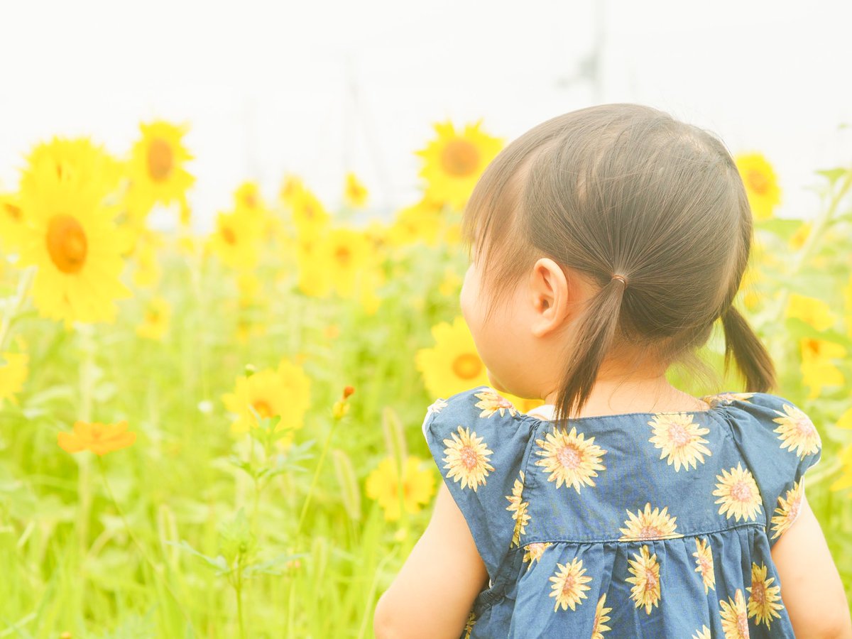 07_1202's tweet photo. 娘と🌻 https://t.co/aJufFa1aQQ