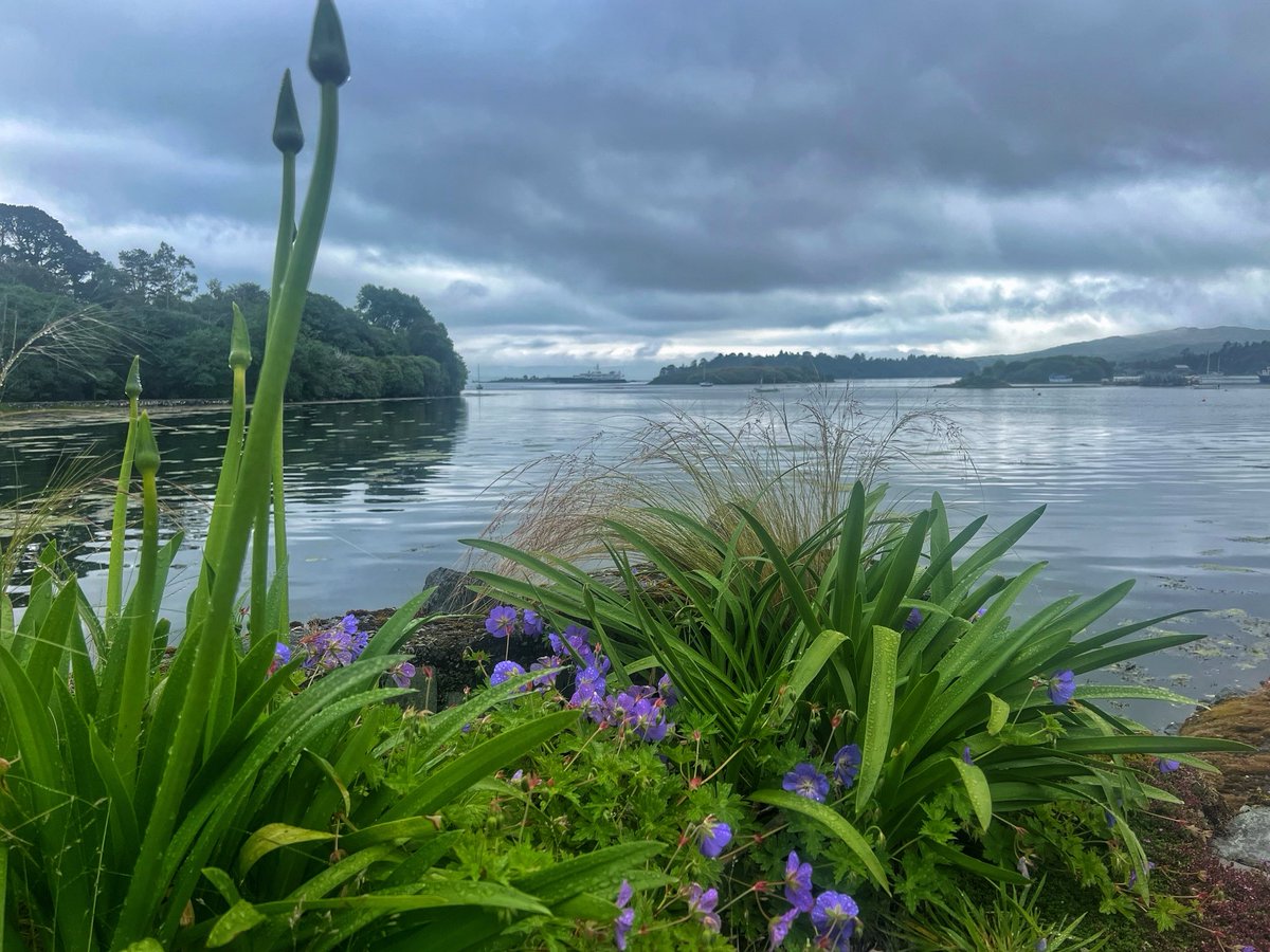 visitbantry1's tweet photo. ⁦@PortofCork⁩ ⁦@Corkcoco⁩ ⁦@corkbeo⁩ ⁦@Failte_Ireland⁩ ⁦@TourismIreland⁩ ⁦@DiscoverIreland⁩ ⁦@GlengarriffWood⁩ ⁦@discoverwcork⁩ ⁦@wcorklitfest⁩ https://t.co/eKlUIDcBPg