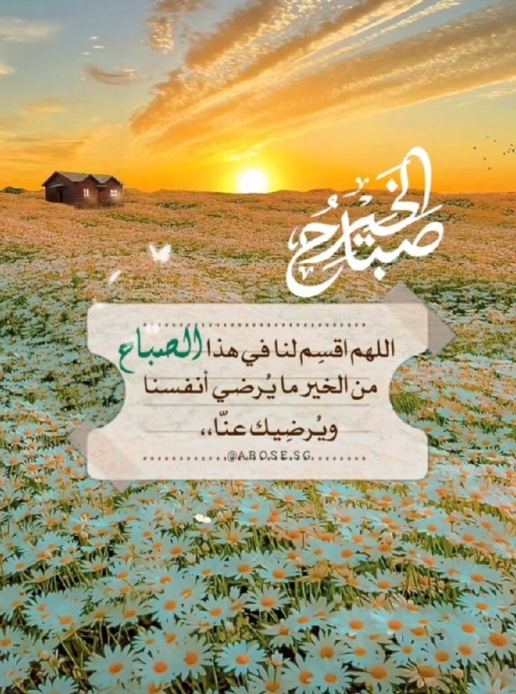صباح الخير و السلام 😍🌷🩶💗☕️