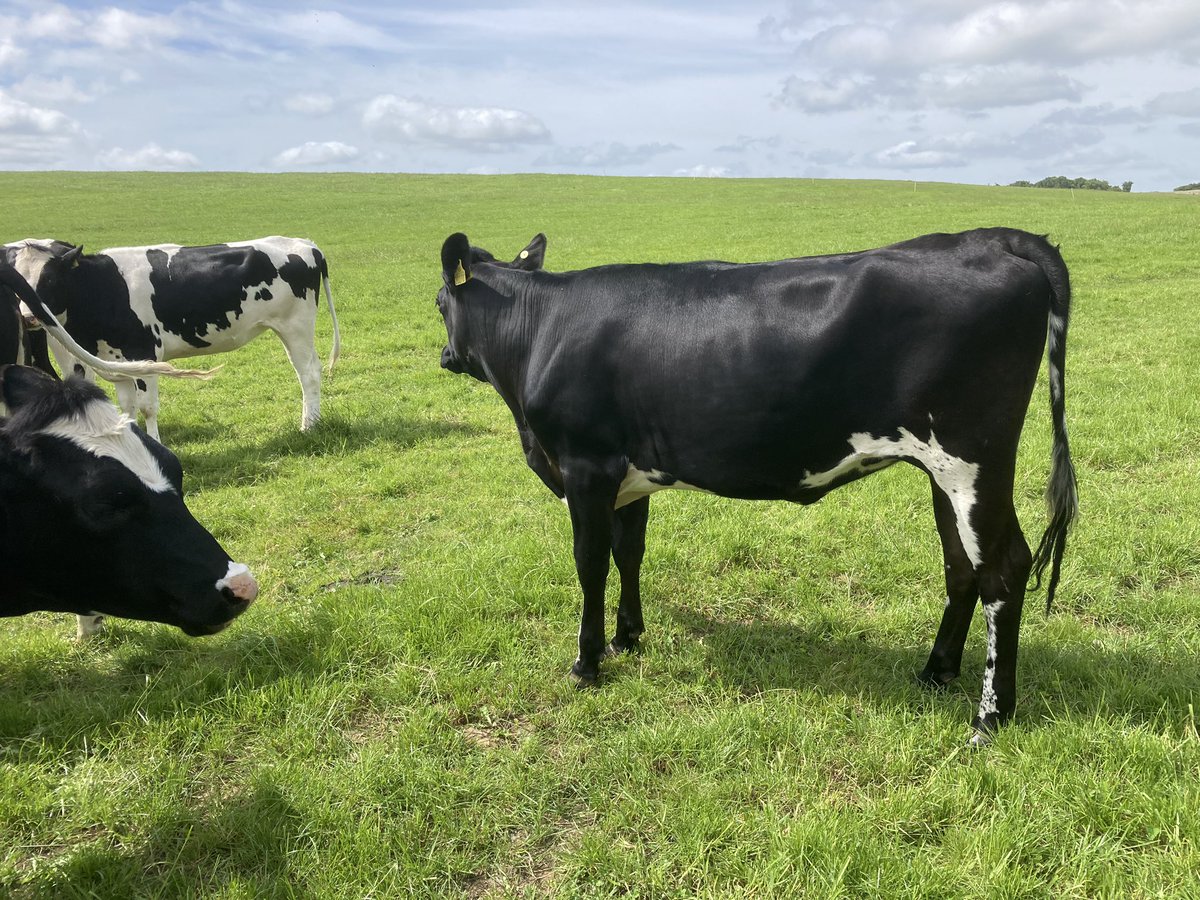 Mike Powell tweet media