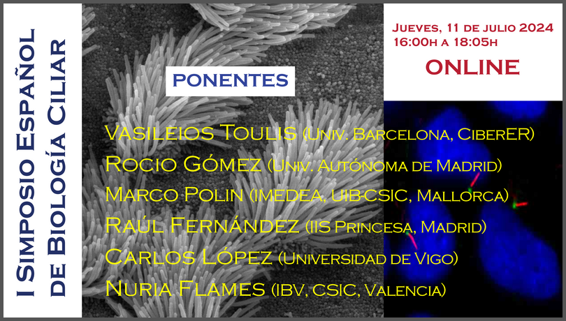 IIBmCSICUAM's tweet photo. 🗣️Francesc García-Gonzalo del grupo Ciliopatías (Depto Enfermedades Raras) en el #IIBmCSICUAM, organiza el I Simposio Español de Biología Ciliar

📆11 de julio
⏰16.00
💻Atención solo online https://t.co/c5vy4lenHa

No os perdáis el evento‼️
Programa ➡️ https://t.co/2GZmOLtNmX https://t.co/7g7ioZxlPi