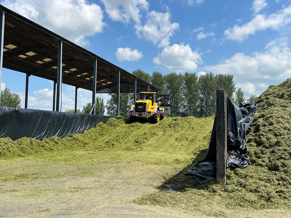 It was super busy and all systems go at Lower Stock Farm last week, making the most of the sunshine.
