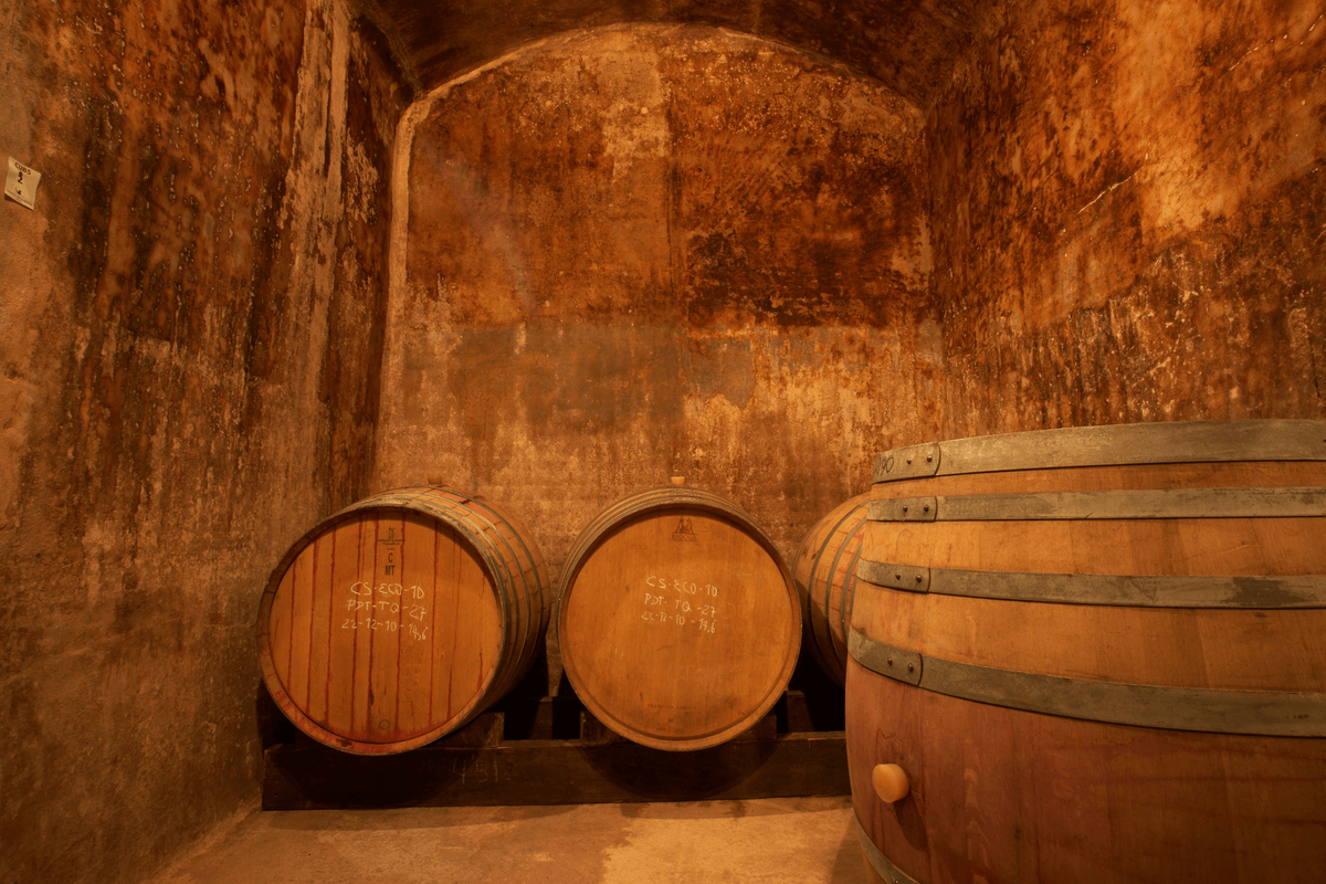 Descobreix la denominació d'origen Pla i Llevant a #Mallorca. 🍇

Amb 450 hectàrees de vinyes a 18 municipis, gaudeix de vins negres, blancs i rosats d'alta qualitat. Visita cellers a Algaida, Artà, Felanitx, Manacor o Sineu i deixa't seduir per la seva tradició i sabor.🍷