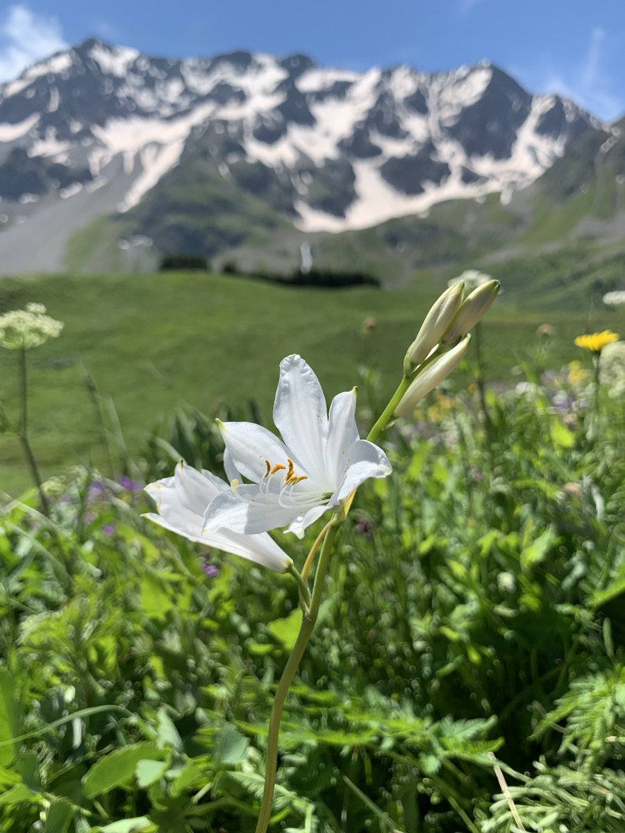 Mark Blackburn tweet media