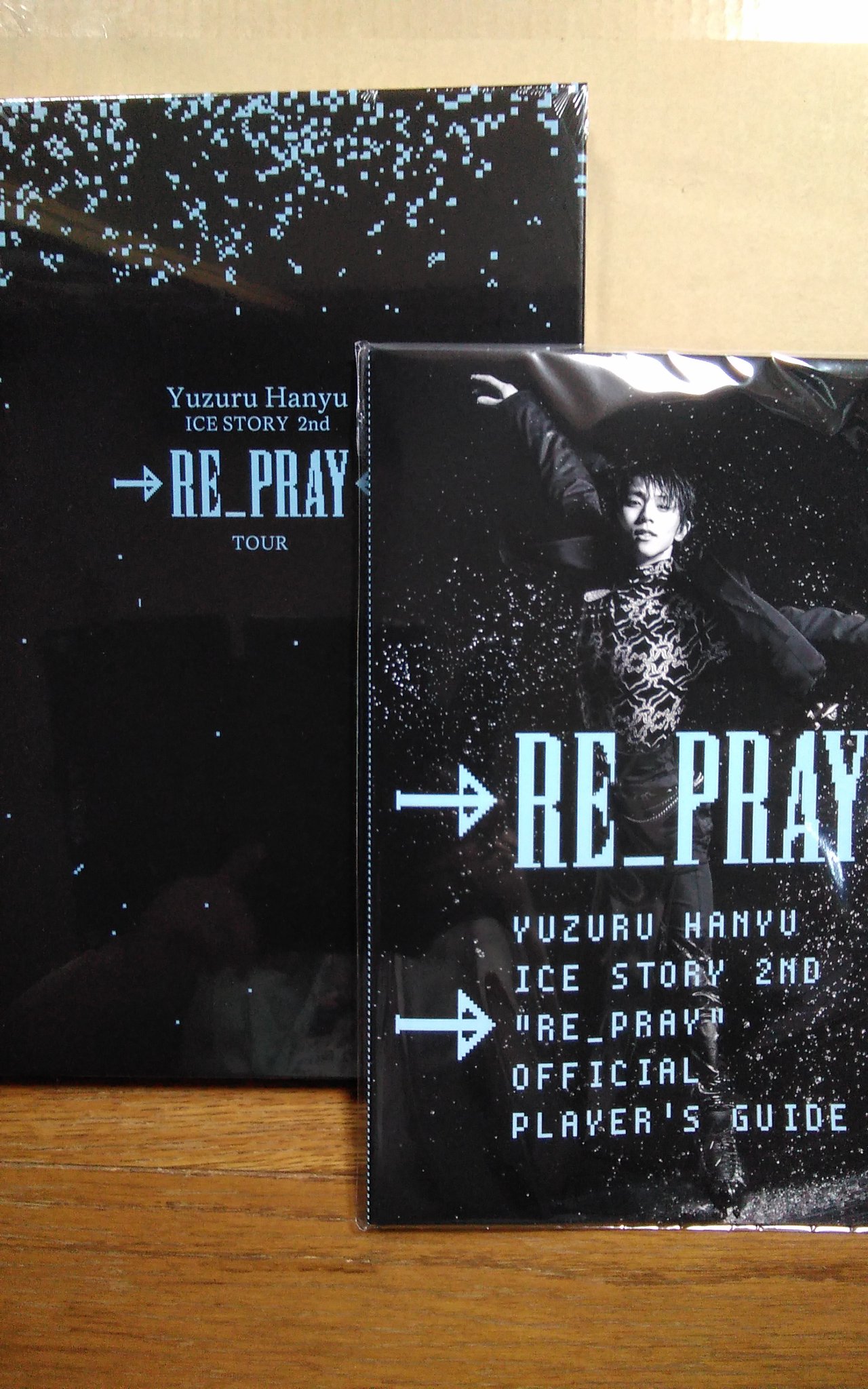 RE_PRAY 写真集　プレイヤーズガイド RE_PRAYオフィシャルプレイヤーズガイド - Search / X