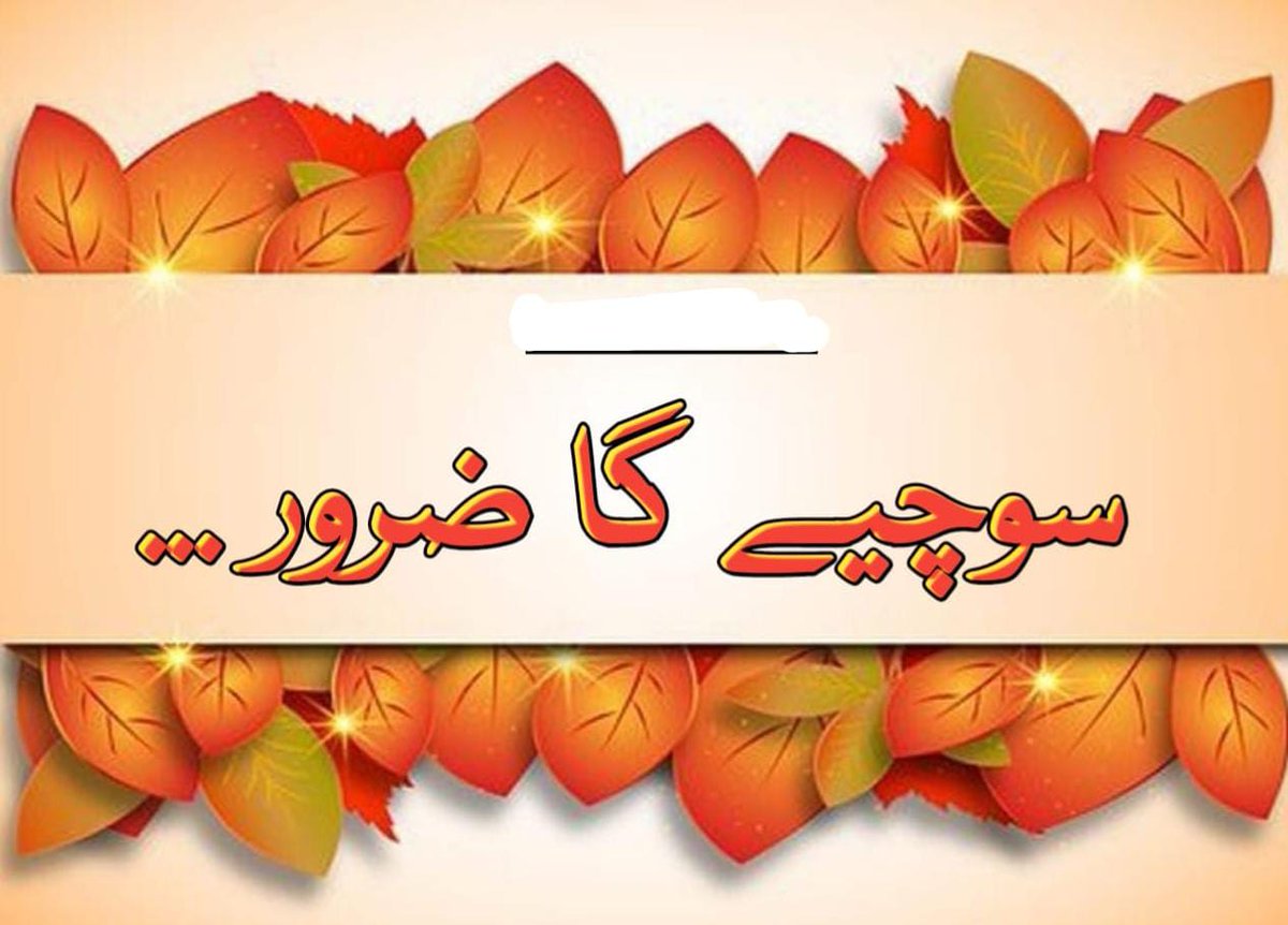 Misba ..... tweet media