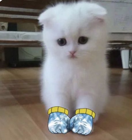 FLUFFCTO's tweet photo. Come join the #Fluff CTO #DiamondHands  
Join the Community!! https://t.co/vWxPhRVSW7