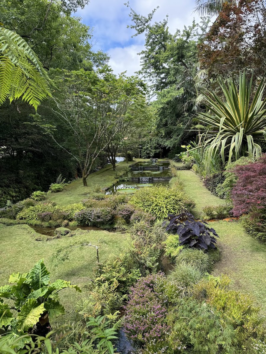 exploreazores's tweet photo. Good morning! ๐
Itโs a gorgeous Tuesday โ letโs make the most of it! ๐ฟ
#GoodMorning #TuesdayVibes #azoresislands #Azoresgroup https://t.co/YvkpNpvxrK