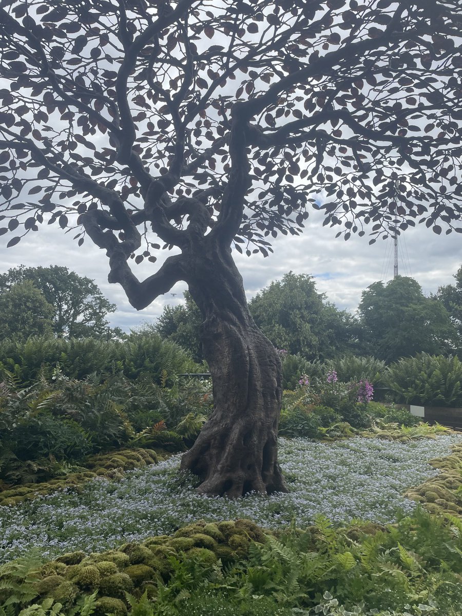 redsbi's tweet image. Solo qui si trovano opere uniche #trophyposition#servizio #natura #wimbledon