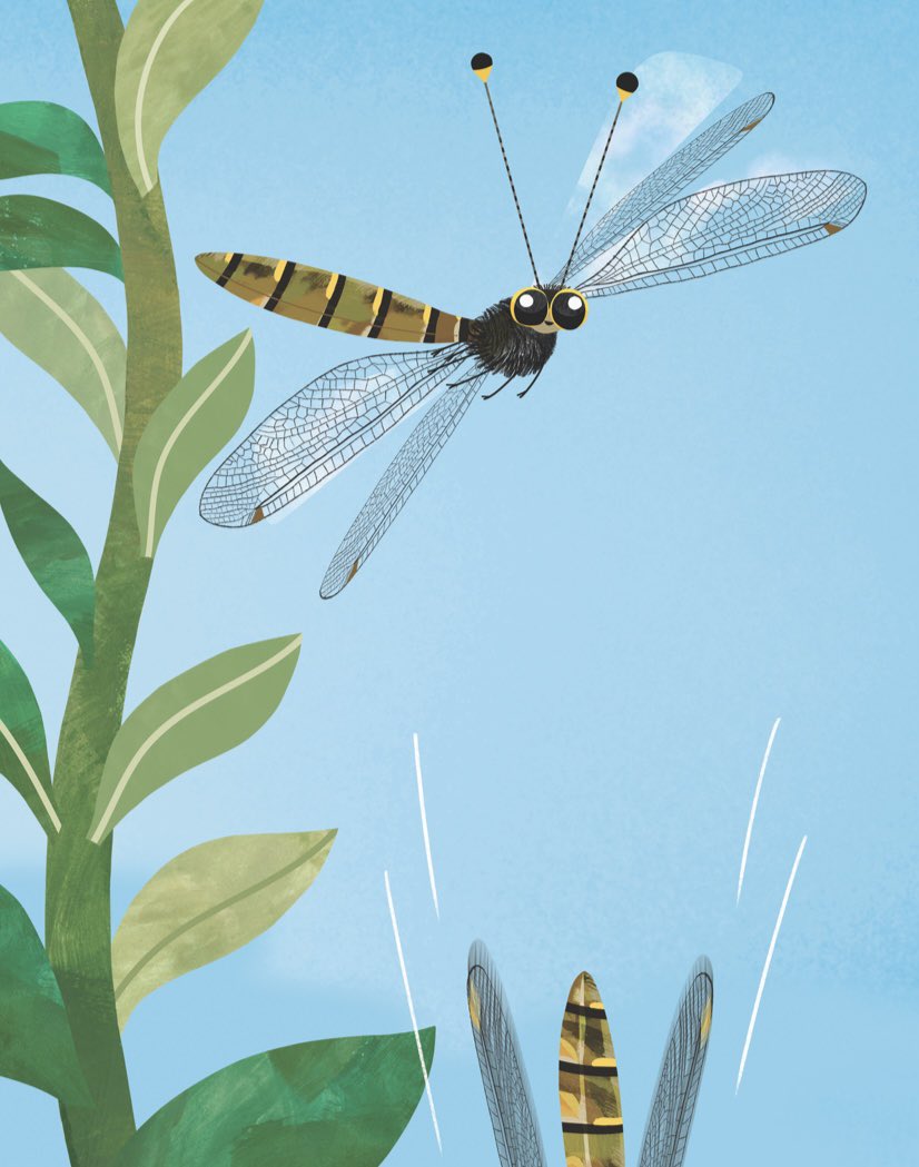 Owlflies from Ingenious Insects.  Before researching the book, I had no idea that owflies exist! They are such cool critters I had to include them!