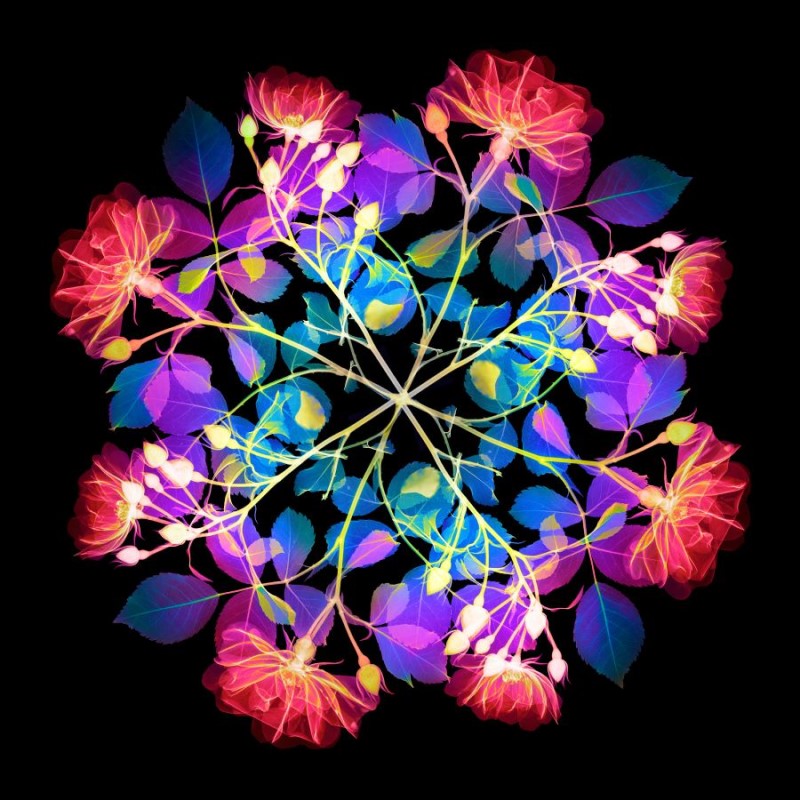 Royal Society Publishing (@rsocpublishing) on Twitter photo Entries are now open for the Royal Society Publishing Photography Competition 2024! Here we meet our newest judge, and Science Chair at <a href="/The_RPS/">The Royal Photographic Society</a>, Hugh Turvey. ow.ly/SsbL50StE2Q | #RSPPhotoComp <a href="/xrayartist/">Hugh Turvey HonFRPS</a> Entries are now open for the Royal Society Publishing Photography Competition 2024! Here we meet our newest judge, and Science Chair at <a href="/The_RPS/">The Royal Photographic Society</a>, Hugh Turvey. ow.ly/SsbL50StE2Q | #RSPPhotoComp <a href="/xrayartist/">Hugh Turvey HonFRPS</a>