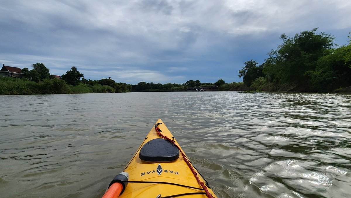 Mister Kwai tweet media