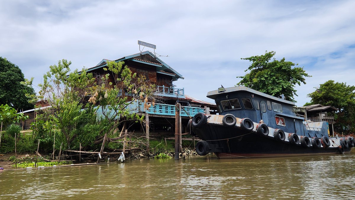 Mister Kwai tweet media