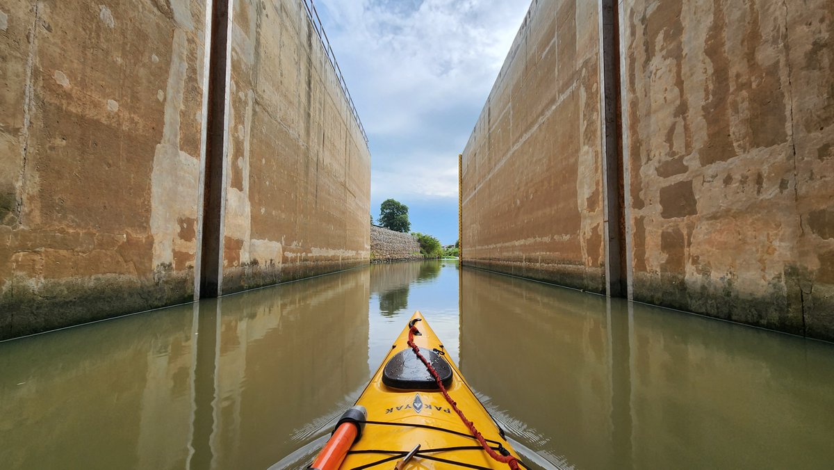 Mister Kwai tweet media