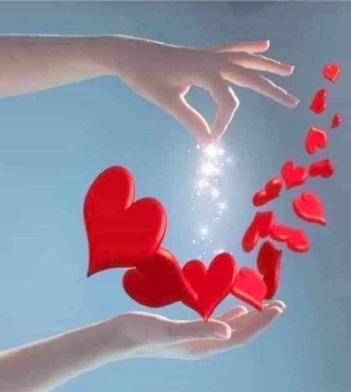 You do not find the happy life. 
You make it