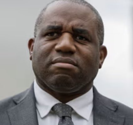 Mac Wood tweet media