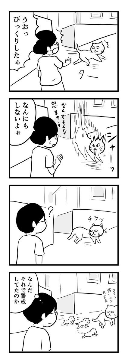 飛び出し猫 