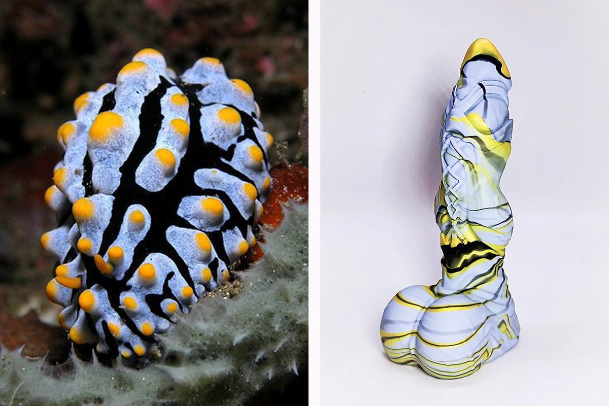 Master4Fancy tweet media