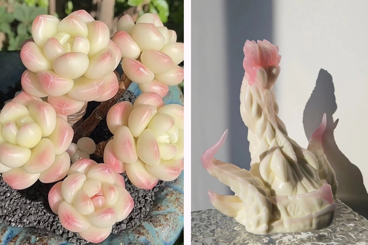 Master4Fancy tweet media